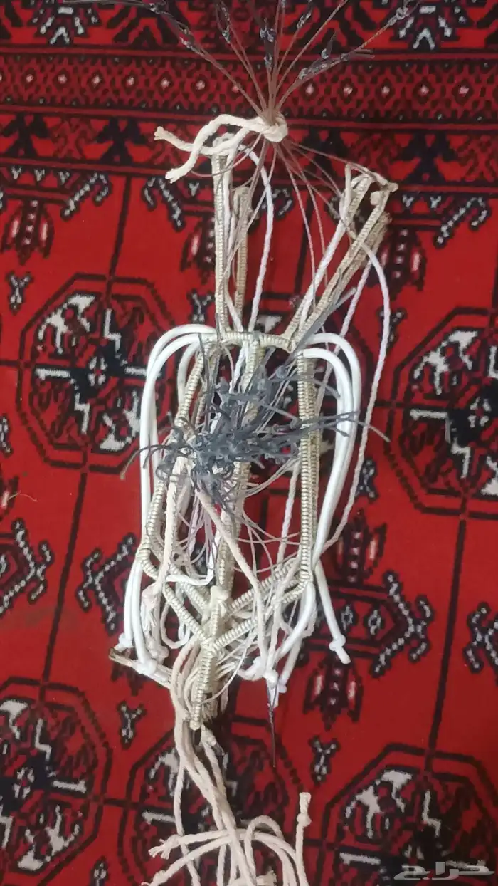 شبك مقناص حمام قطا قمري سمان جربوع نقل قراشع 9