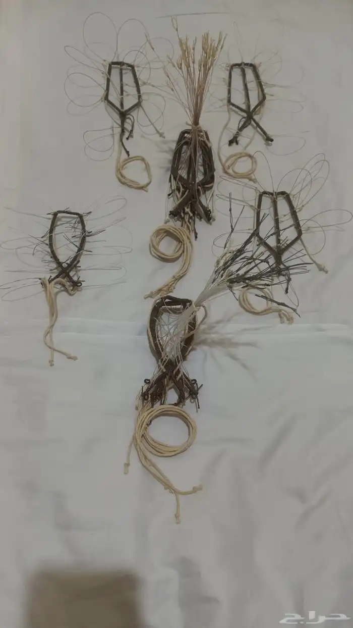 شبك مقناص حمام قطا قمري سمان جربوع نقل قراشع 42