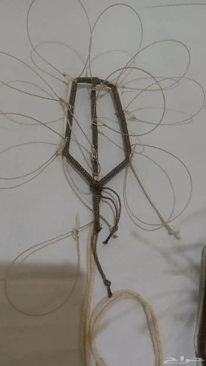 شبك مقناص حمام قطا قمري سمان جربوع نقل قراشع 36