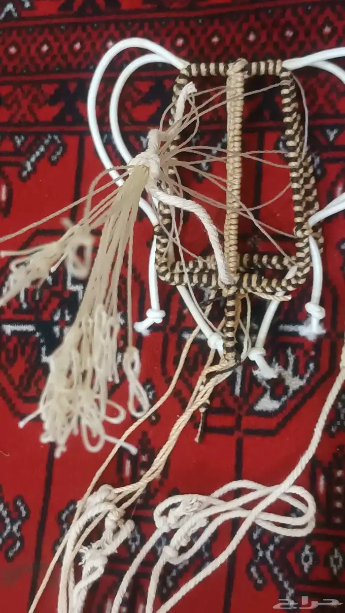 شبك مقناص حمام قطا قمري سمان جربوع نقل قراشع 8