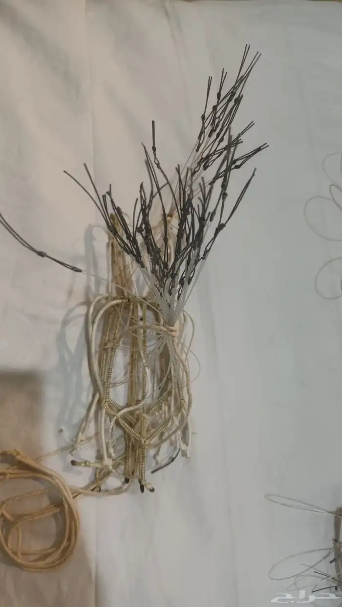 شبك مقناص حمام قطا قمري سمان جربوع نقل قراشع 27