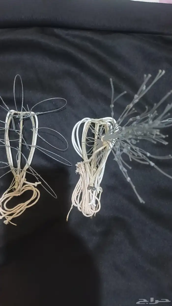 شبك مقناص حمام قطا قمري سمان جربوع نقل قراشع 25