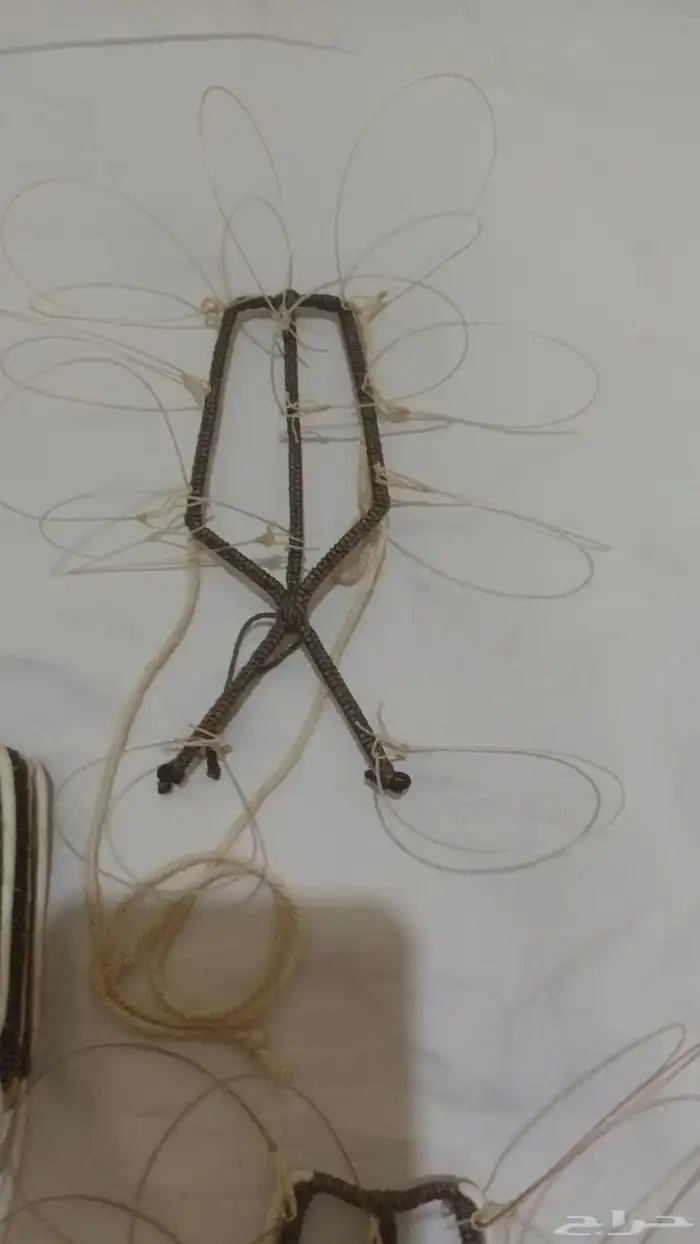 شبك مقناص حمام قطا قمري سمان جربوع نقل قراشع 37