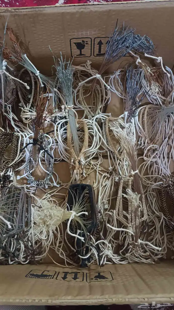 شبك مقناص حمام قطا قمري سمان جربوع نقل قراشع 44