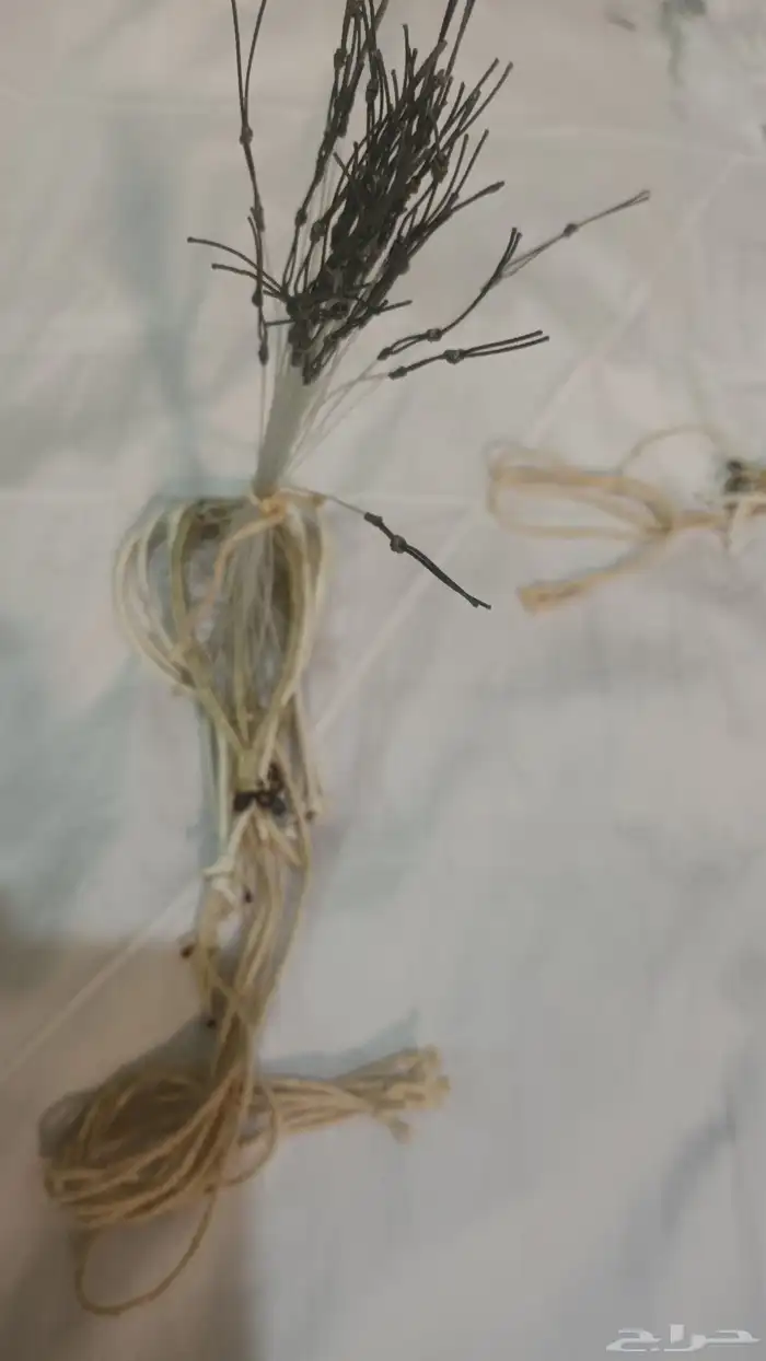 شبك مقناص حمام قطا قمري سمان جربوع نقل قراشع 32