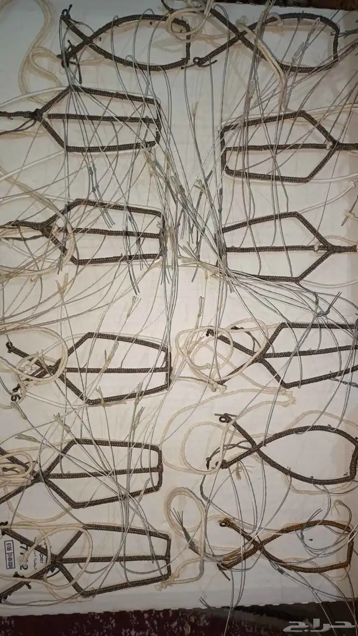 شبك مقناص حمام قطا قمري سمان جربوع نقل قراشع 43