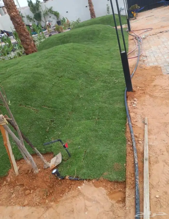 تنسبق حدائق وتوريد وتركيب نجيل الثيل 0