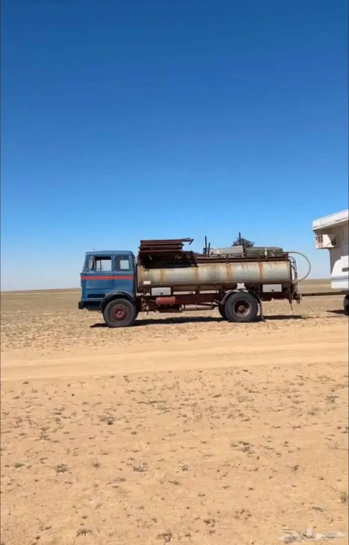 وايت كزبرا للبيع 0
