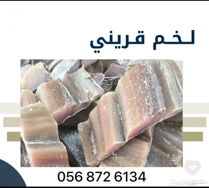 لخم قرينى حضرمى 0