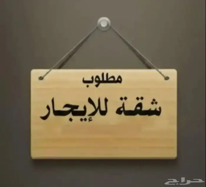 مطلوب شقة للإيجار 0