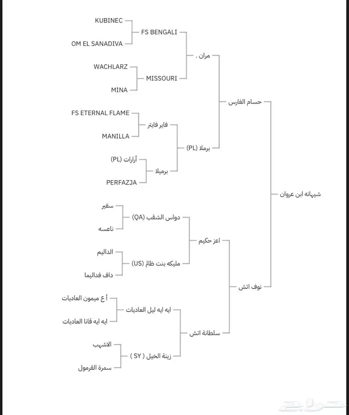 للبيع مهره واهو 7