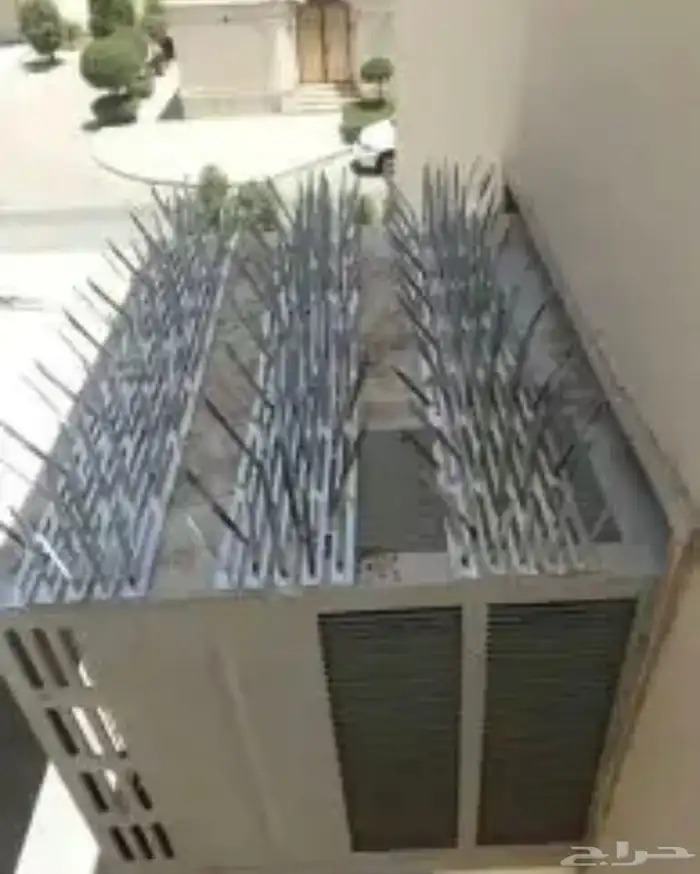 يطرد حمام او عصافير 1