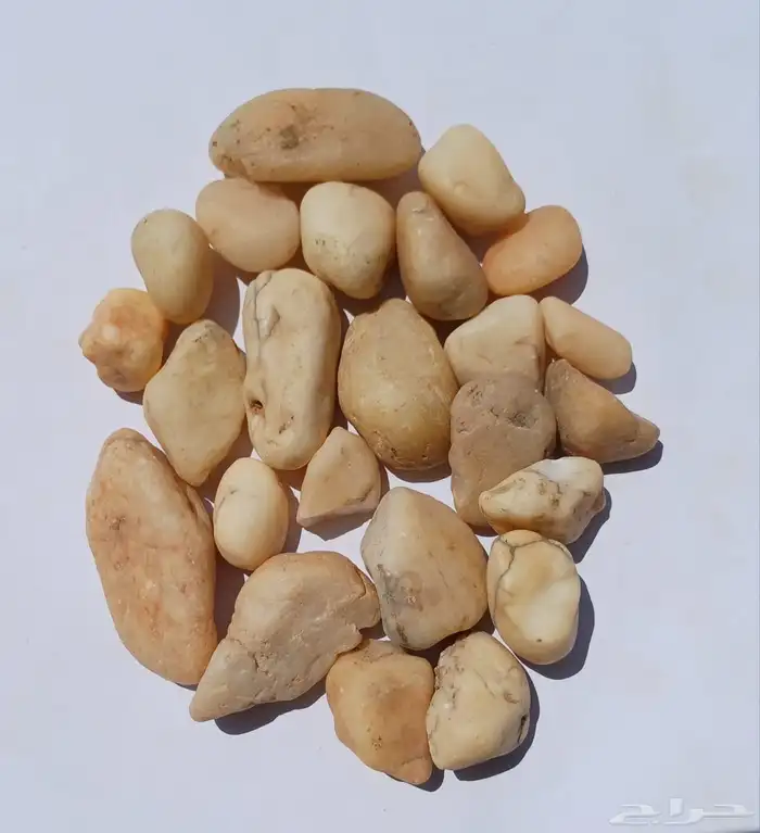 حجر نهري للزينة الحدائق والممرات 3