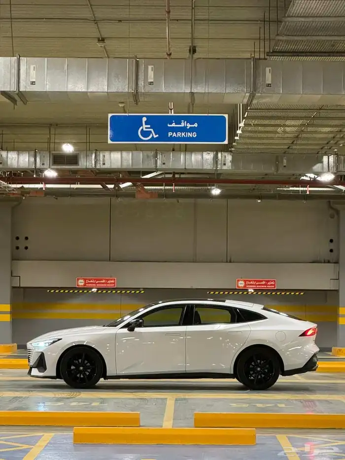 شنجان بوني 2023 3
