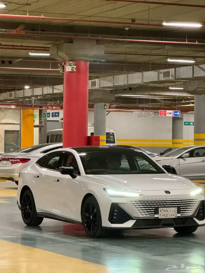 شنجان بوني 2023 7