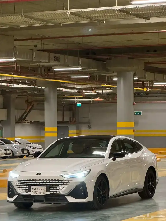 شنجان بوني 2023 1