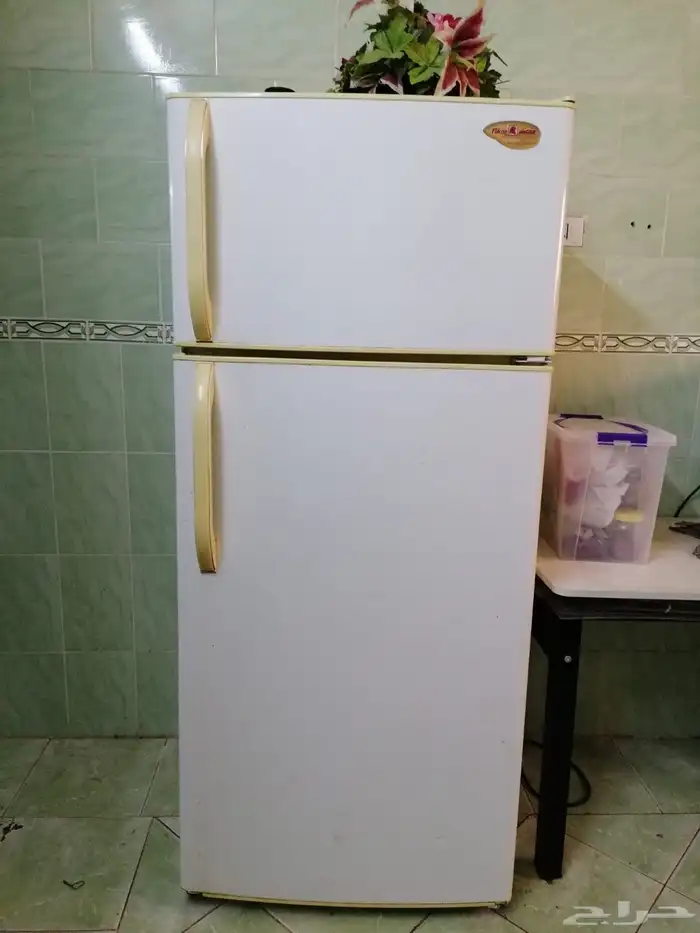 كومدينا وثلاجة 1