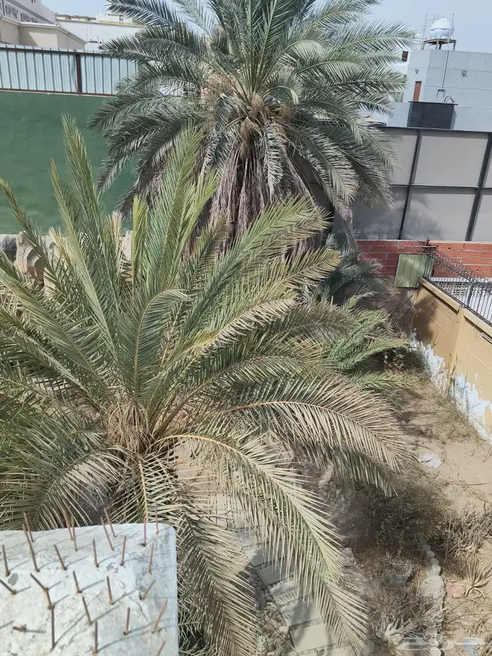 فيلا للبيع 2