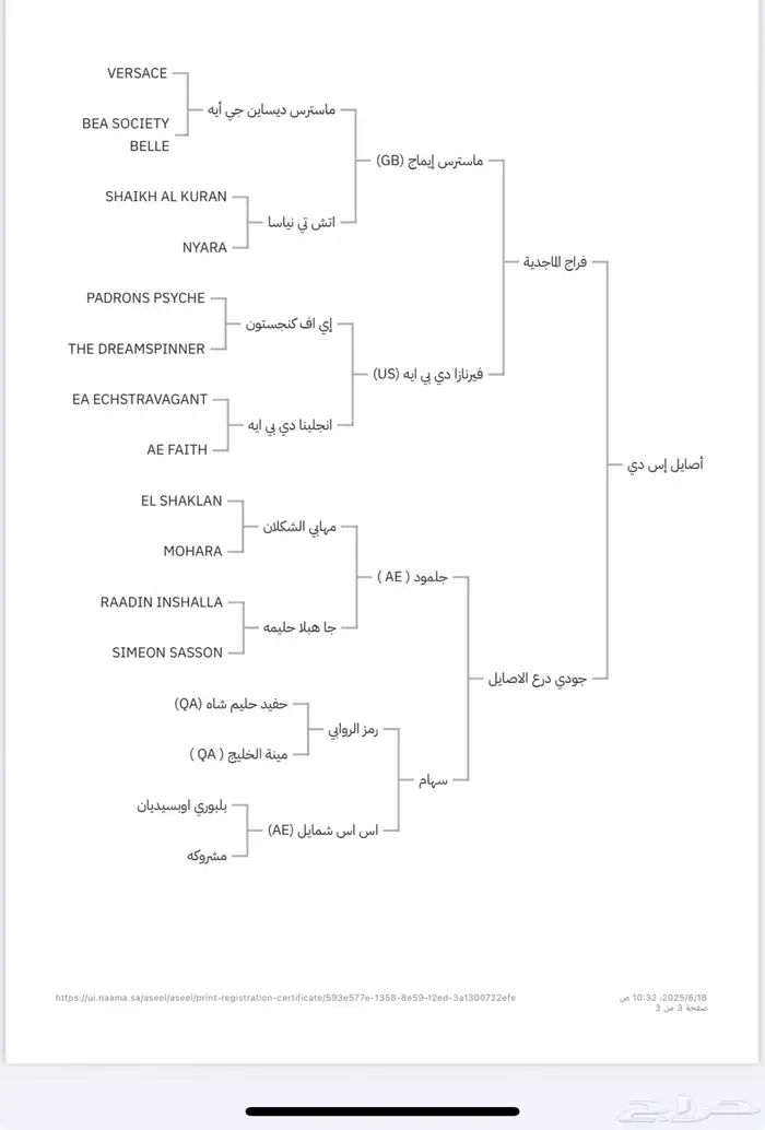 فرس واهو 9