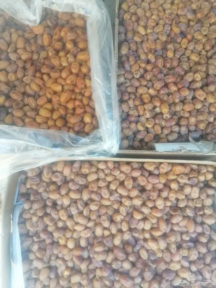 تمر اخلاص نجران نظيف ثلاثة كراتين 3