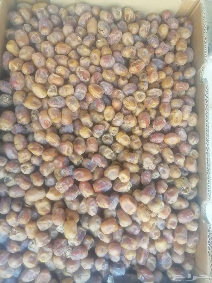 تمر اخلاص نجران نظيف ثلاثة كراتين 1