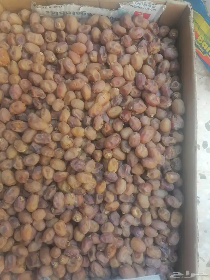 تمر اخلاص نجران نظيف ثلاثة كراتين 0