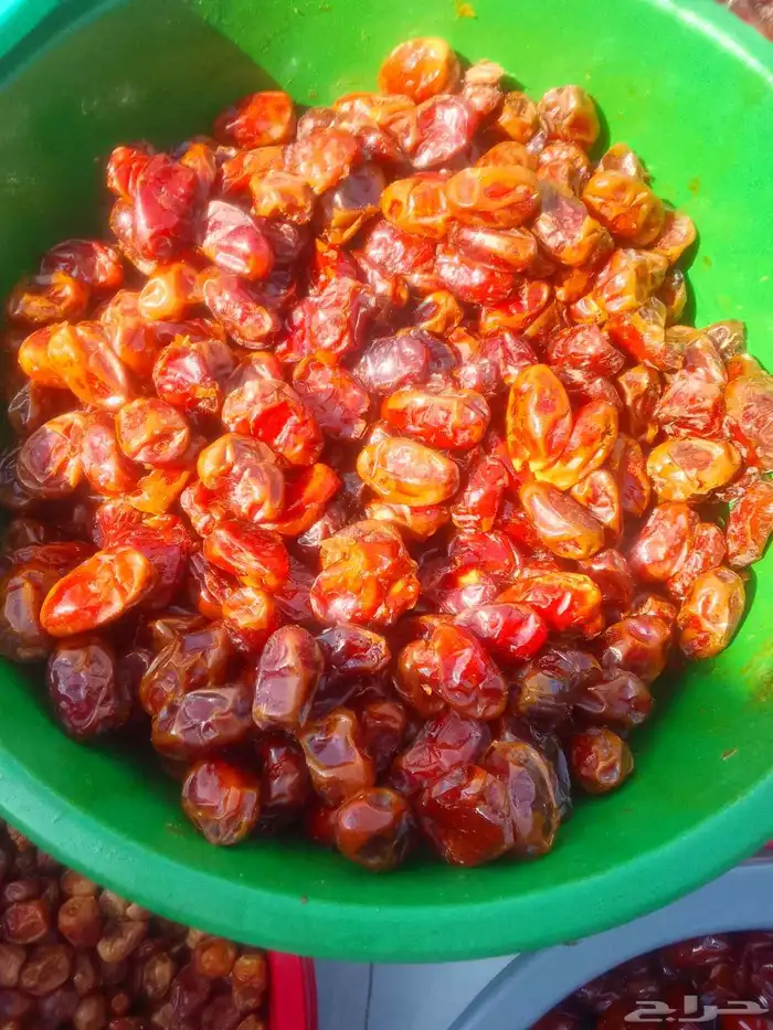 تمور حائل الفاخره 8