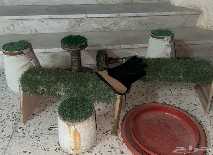 اغراض طيور 0