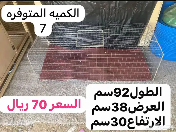 محاكر وشبوك ( جمله - تفريد ) 8