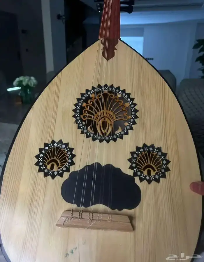 عود تعليمي 0