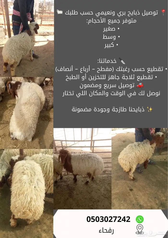 توصيل ذبائح حسب طلبك 10