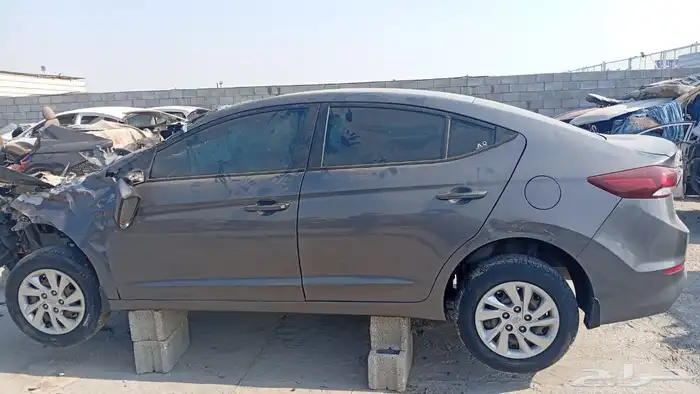 النتراء 2018 1