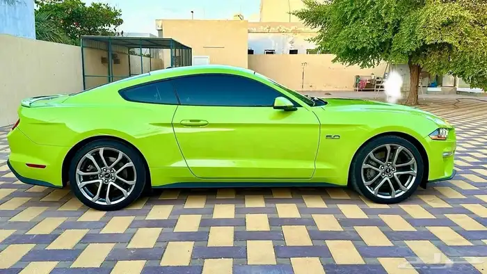 لعشاق الموستنج 8