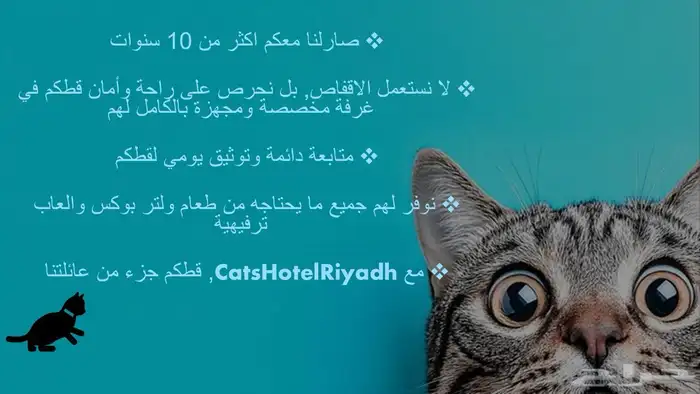 فندقة للقطط في الرياض 1