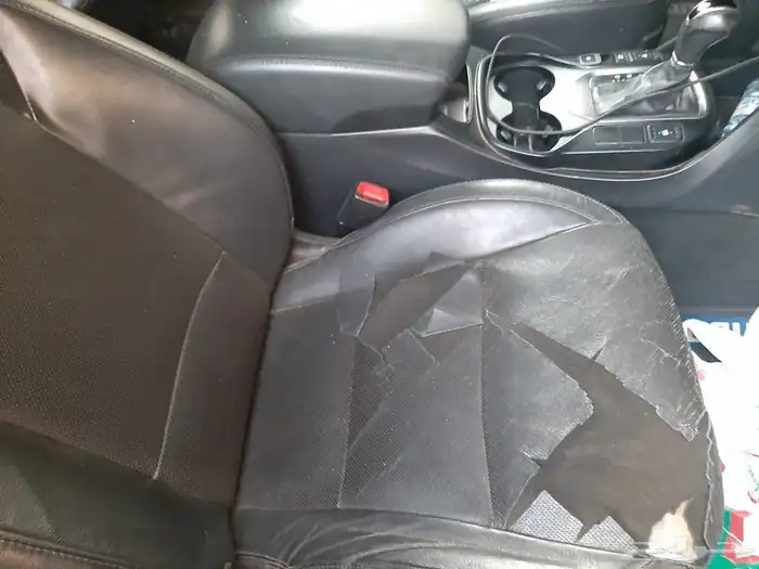 سنتافي 2016 10