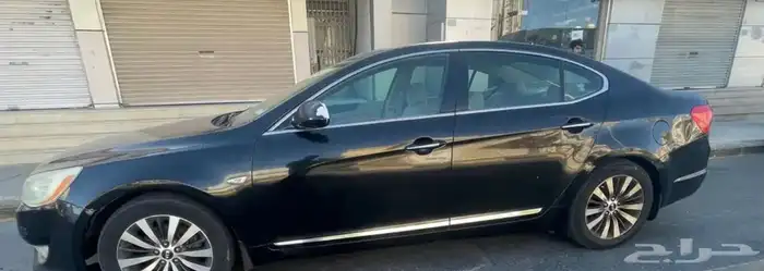 كادينزا 2012 1