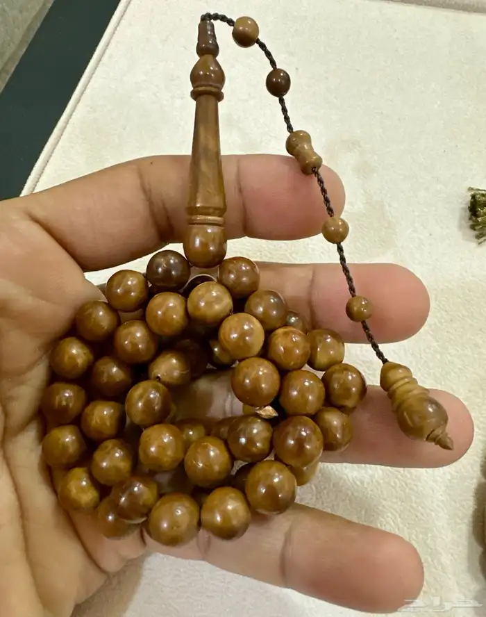 سبح النور 1