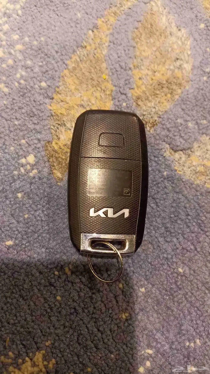 kia pegas 2023 ( 79300) 7