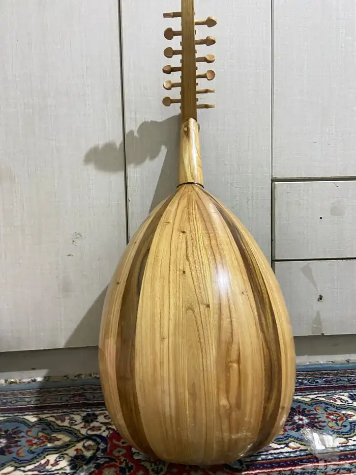 عود مصري نضيف 1