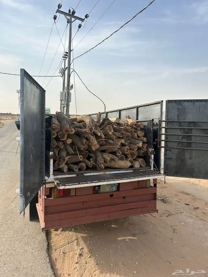 ح ط ب المدينه 8