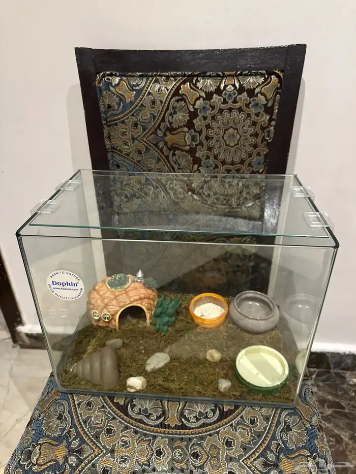 حوض زواحف 0