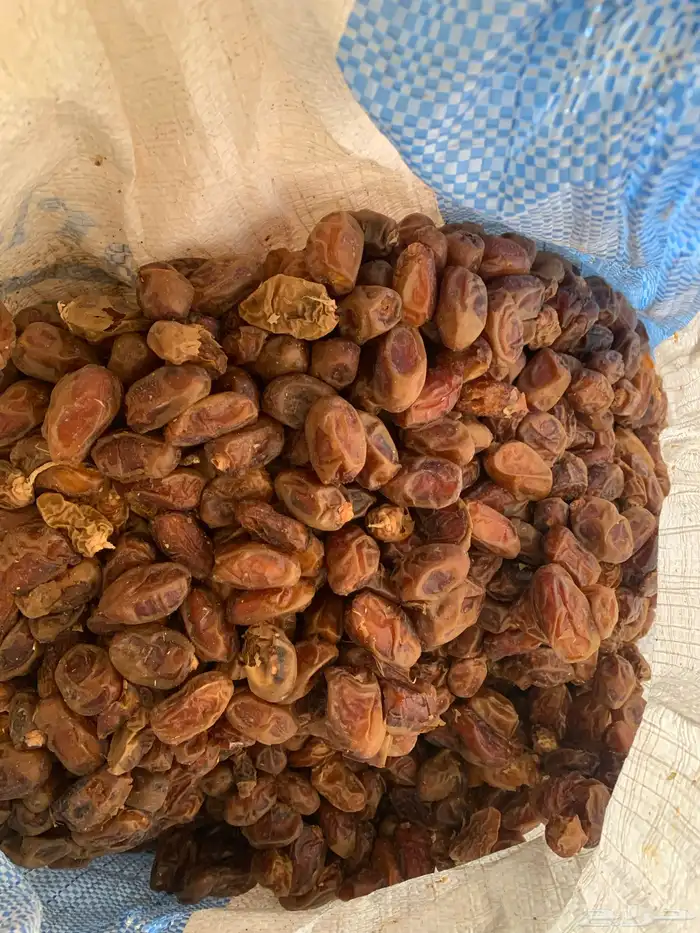 تمر للحلال تسعه اكياس كبيره 0