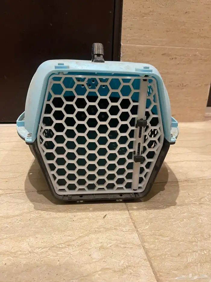 بوكس قطط 0