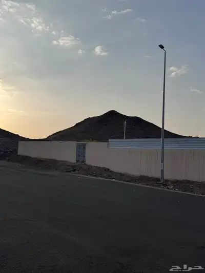 سكن index