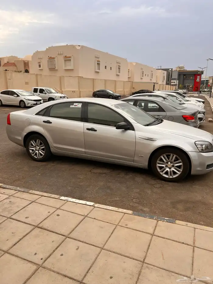 كابرس LS2013 11