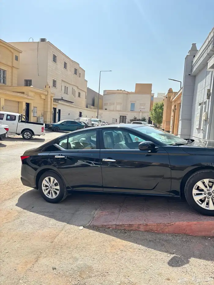 التيماء 2023 1