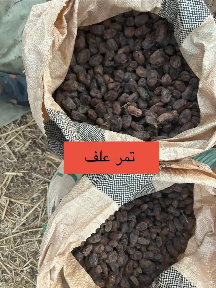 تمر علف 120 كيس 2