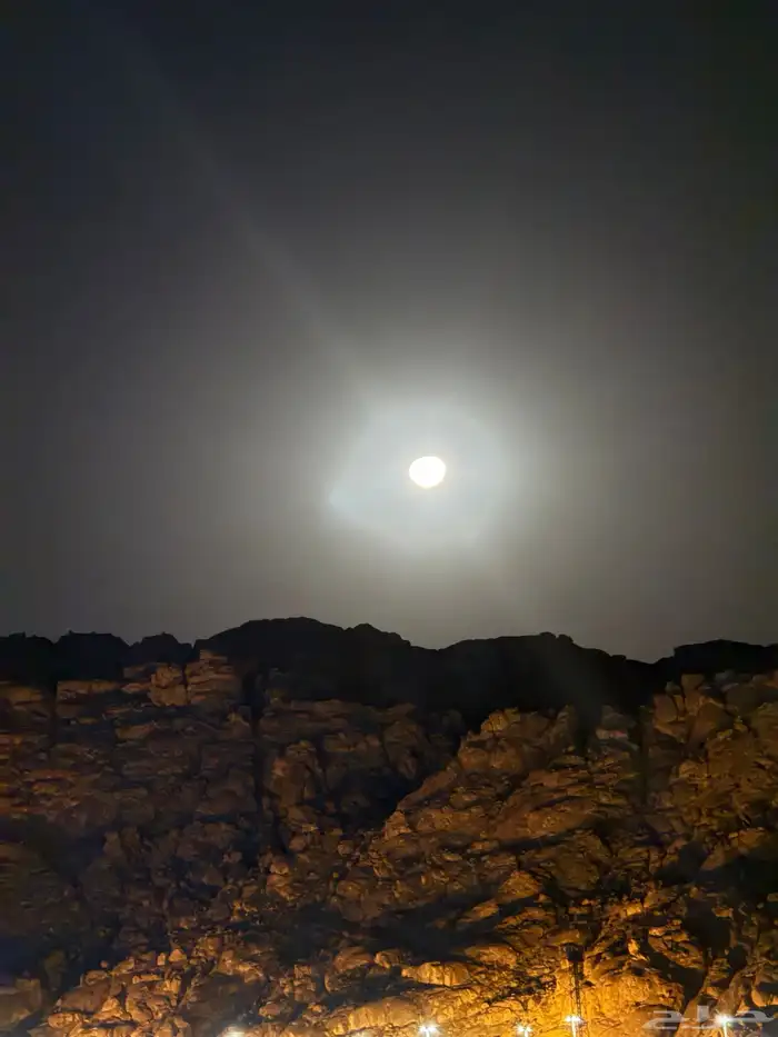 مطلوب حوش غنم اهم شي الايجار رخيص 0