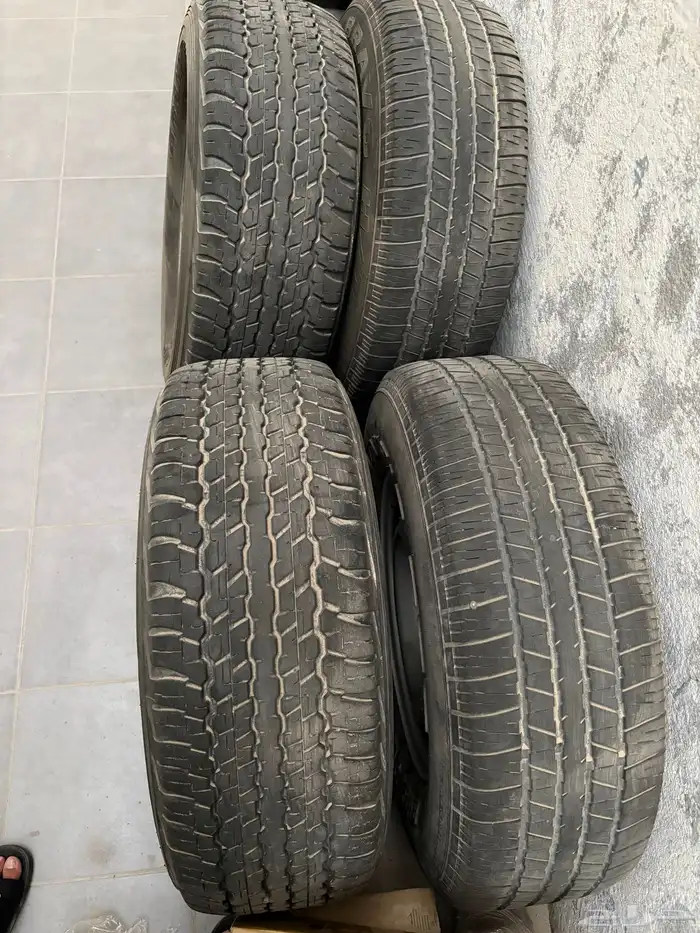 جنوط مقاس 17 1