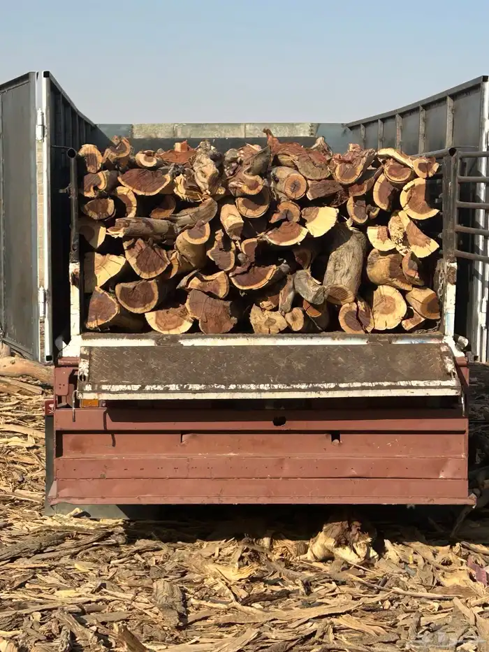 ح ط ب المدينه 0